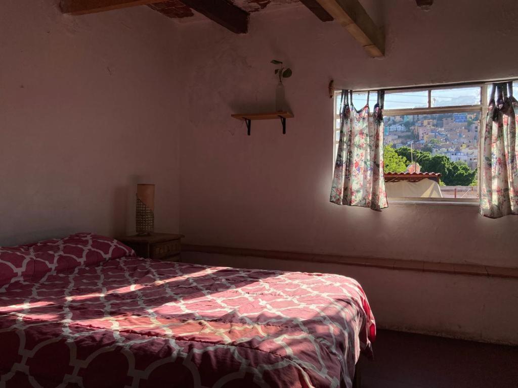 Low-Cost Guest House Casa Alebrije Guanajuato Exterior photo